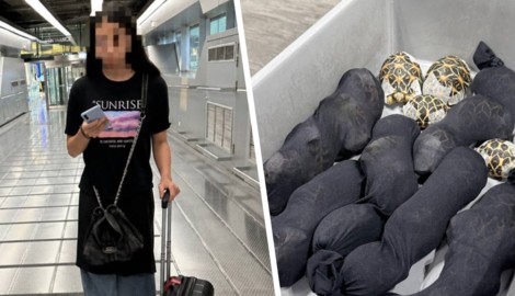 Die 19-Jährige aus Taiwan hatte die Schildkröten am Körper fixiert. Ein Tier war bereits ...