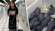 Die 19-Jährige aus Taiwan hatte die Schildkröten am Körper fixiert. Ein Tier war bereits ...