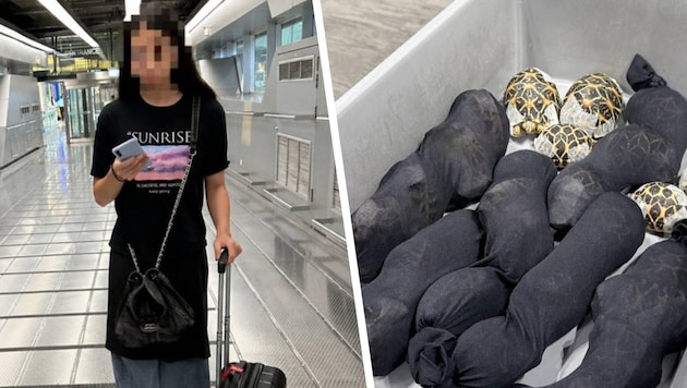 Die 19-Jährige aus Taiwan hatte die Schildkröten am Körper fixiert. Ein Tier war bereits ...