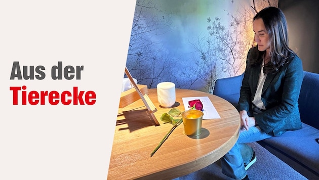 In ihrer monatlichen Kolumne schreibt „Krone“-Tierecke-Leiterin Maggie Entenfellner über Themen ...