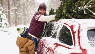 Einfach mal schnell Tannenzweige, Christbaum und Co. ohne Abstimmung mit dem Eigentümer aus dem ...