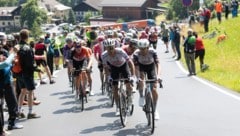 Die Tour of Austria lockte 2025 viele Menschen auf den Gaisberg. 