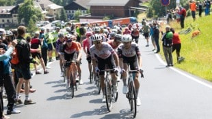 Die Tour of Austria lockte 2025 viele Menschen auf den Gaisberg. 