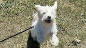 Die Freude ist „Lucy“ ins Gesicht geschrieben.