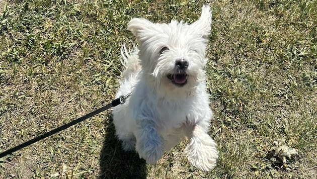 Die Freude ist „Lucy“ ins Gesicht geschrieben.