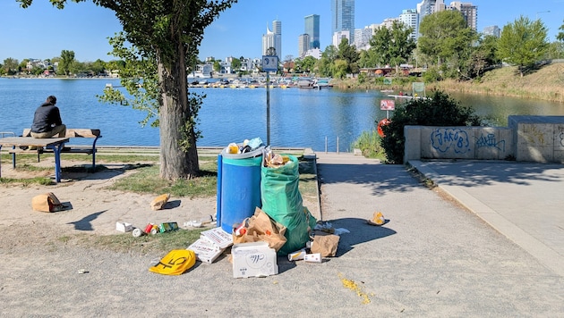 Gerade nach Wochenenden sind die Mistkübel übervoll.