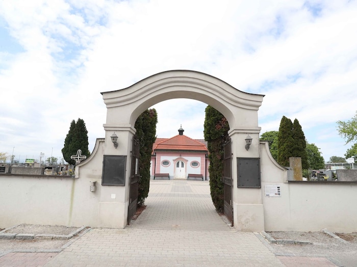 Lokalaugenschein in Neufeld an der Leitha