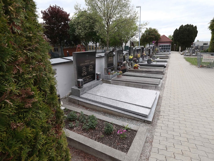 Die Gemeinde grenzt direkt an Ebenfurth. Beide Orte sind nicht einmal einen Kilometer ...