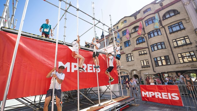 Ob Wasser- oder Kletterhindernis, Höhe oder Kraft – die Vielfalt der Hindernisse macht das ...