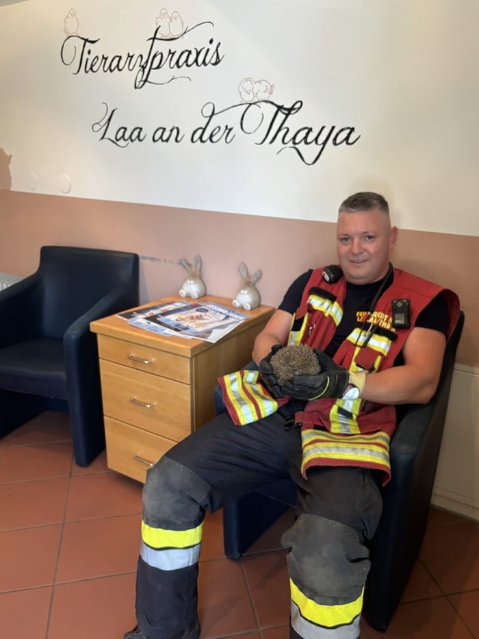 Der Patient kam nach der Einsatzfahrt rasch an die Reihe – Entwarnung.