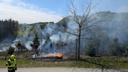 Eine Fläche von rund 3000 Quadratmeter war betroffen.