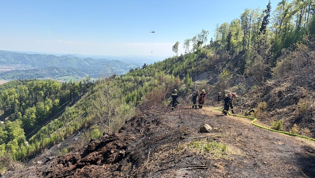 Im steilen Gelände oberhalb des Stifts muss die Bergrettung die Feuerwehrleute absichern. Zurück ...