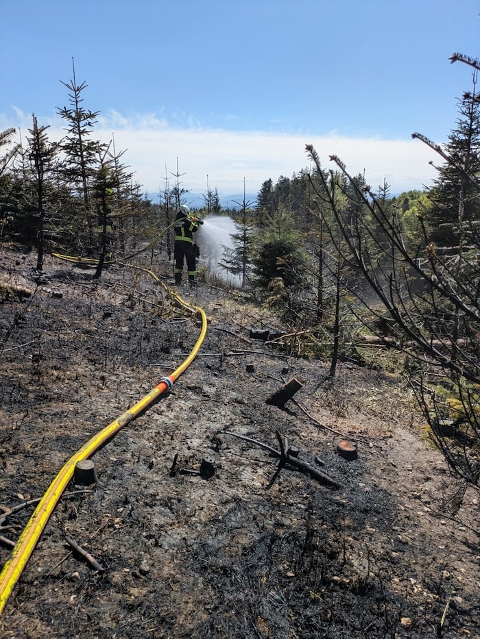 Für den Löscheinsatz wurden drei Zubringerleitungen gelegt und eine Schneise geschlagen.