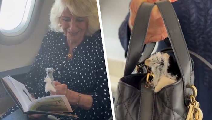 In einem Video der Royal Family ist zu sehen, wie Camilla im Flugzeug mit „Ruh“ ein „Winnie ...