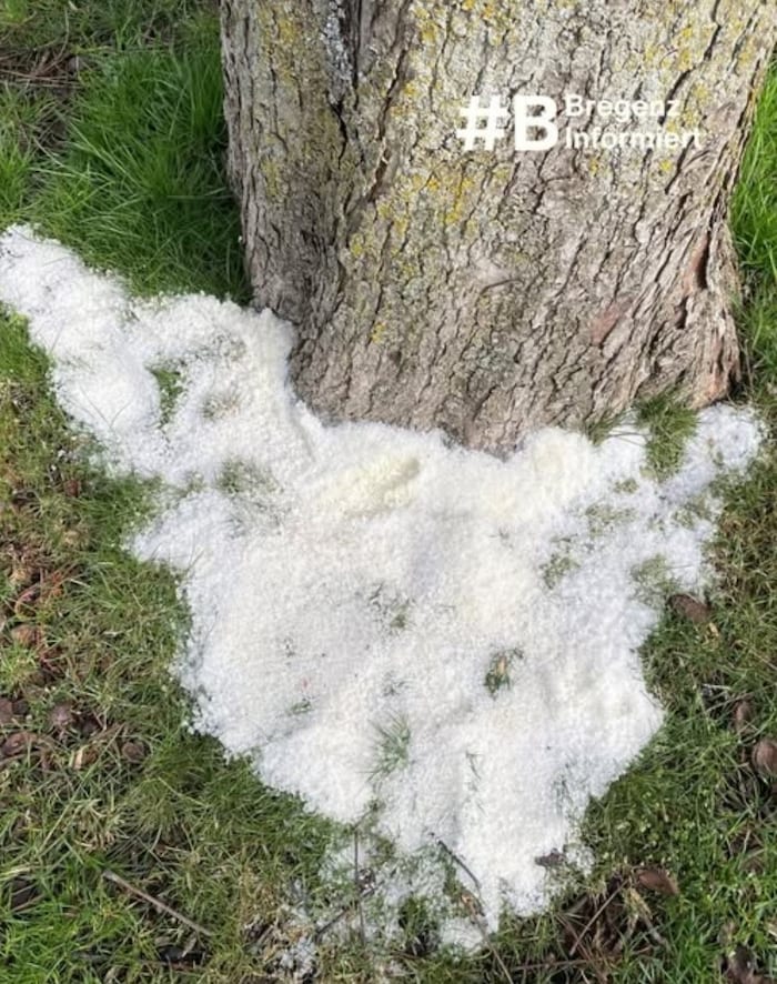 Dieses Bild veröffentlichte die Stadt auf Social Media.