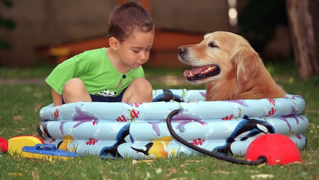Der ein oder andere wird heuer wohl auf das kühle Nass im eigenen Garten verzichten.