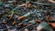 Unachtsam entsorgte Zigaretten sind eine große Gefahr.