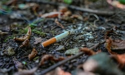 Unachtsam entsorgte Zigaretten sind eine große Gefahr.