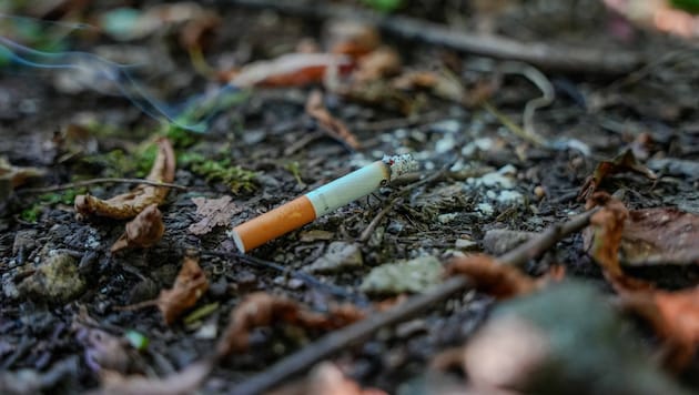 Unachtsam entsorgte Zigaretten sind eine große Gefahr.