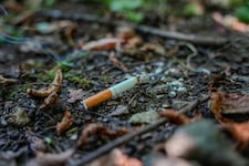 Unachtsam entsorgte Zigaretten sind eine große Gefahr.