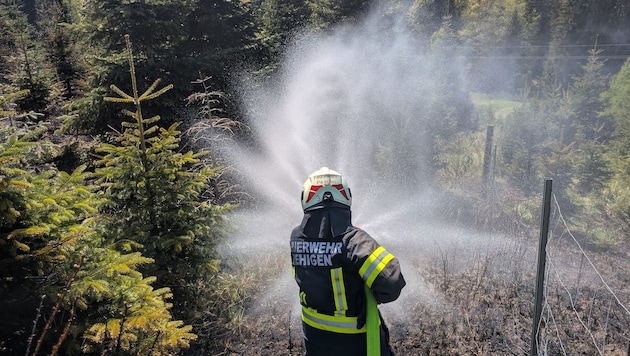 180 Feuerwehrkräfte kämpften gegen die Flammen.