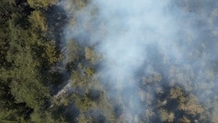 Seit Donnerstagnachmittag brannte es in einem Waldstück bei Gutenstein. 