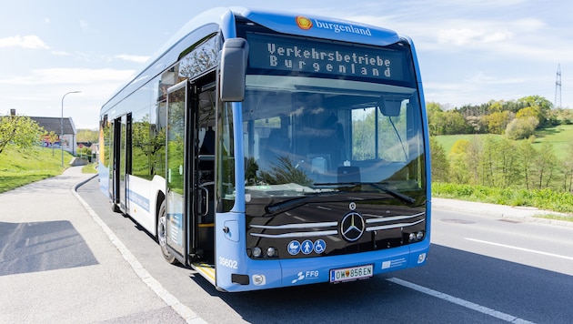 Der blaue Bus und ein Esel... was steckt dahinter?