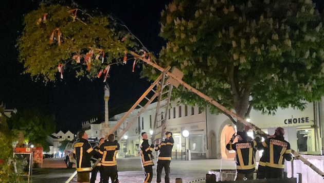 Noch in der Nacht aufgestellt, war der Baum kurz darauf weg.