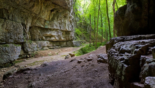Der Eingangsbereich der Falkensteiner Höhle in Baden-Württemberg (Symbolbild)