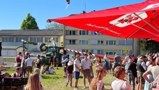 Fauxpas beim Aufstellen: Der Baum fiel um.