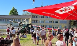 Fauxpas beim Aufstellen: Der Baum fiel um.