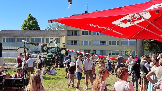 Fauxpas beim Aufstellen: Der Baum fiel um.