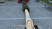 Den kaputten Baum ließen die Unbekannten einfach liegen.