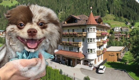 Das Boutique Hundehotel Bergzeit hat einen eigenen Spa-Breich für Hunde.