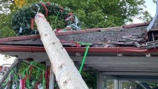 In Niederösterreich – wie hier in Bockfließ, wo der umgeschnittene Maibaum auf eine Mühle ...