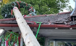 In Niederösterreich – wie hier in Bockfließ, wo der umgeschnittene Maibaum auf eine Mühle ...