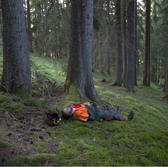 „Forest DIVING“ nennt sich das Projekt der Fotografin Jodi Bieber. Sie war im Rahmen von ...