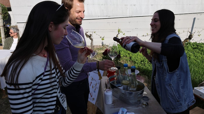 Ob Eisenberg, Rechnitz oder Deutsch Schützen: Der Weinfrühling machte das Südburgenland zur ...