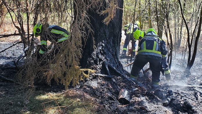 Durch das rasche Einschreiten der Feuerwehren Stainz und Wald bei Stainz konnte Schlimmeres ...
