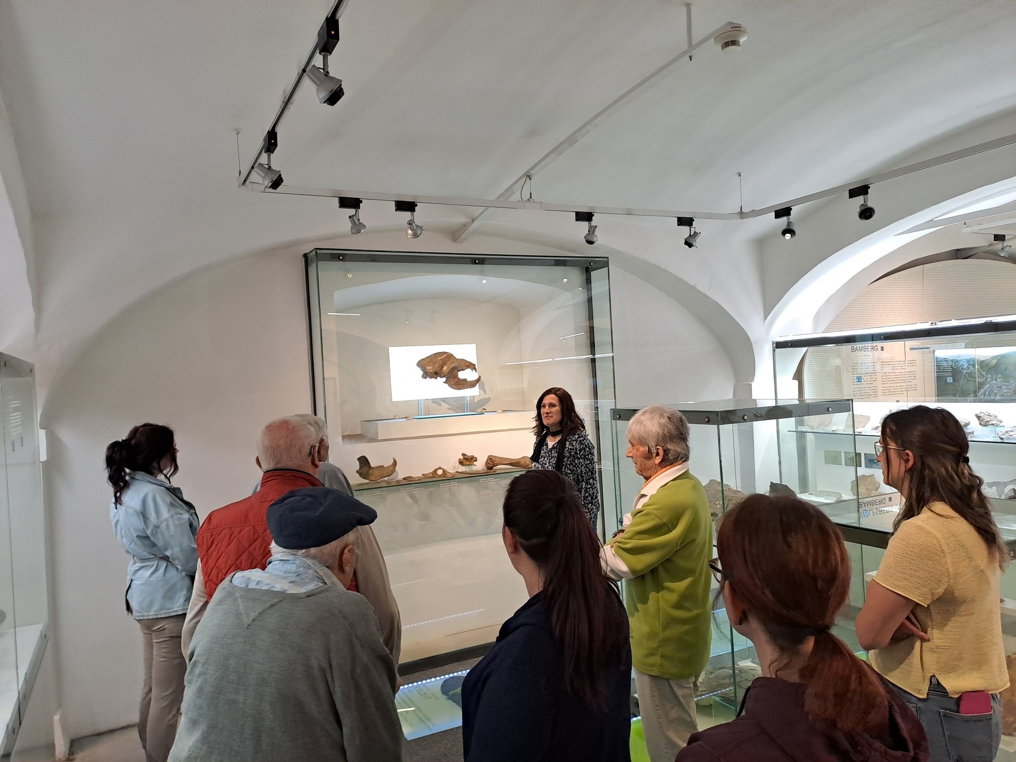 Höhlenbär-Schädel, Sandhaifisch-Zahn und allerlei Fossilien aus der Zeit, als das Lavanttal ein ...