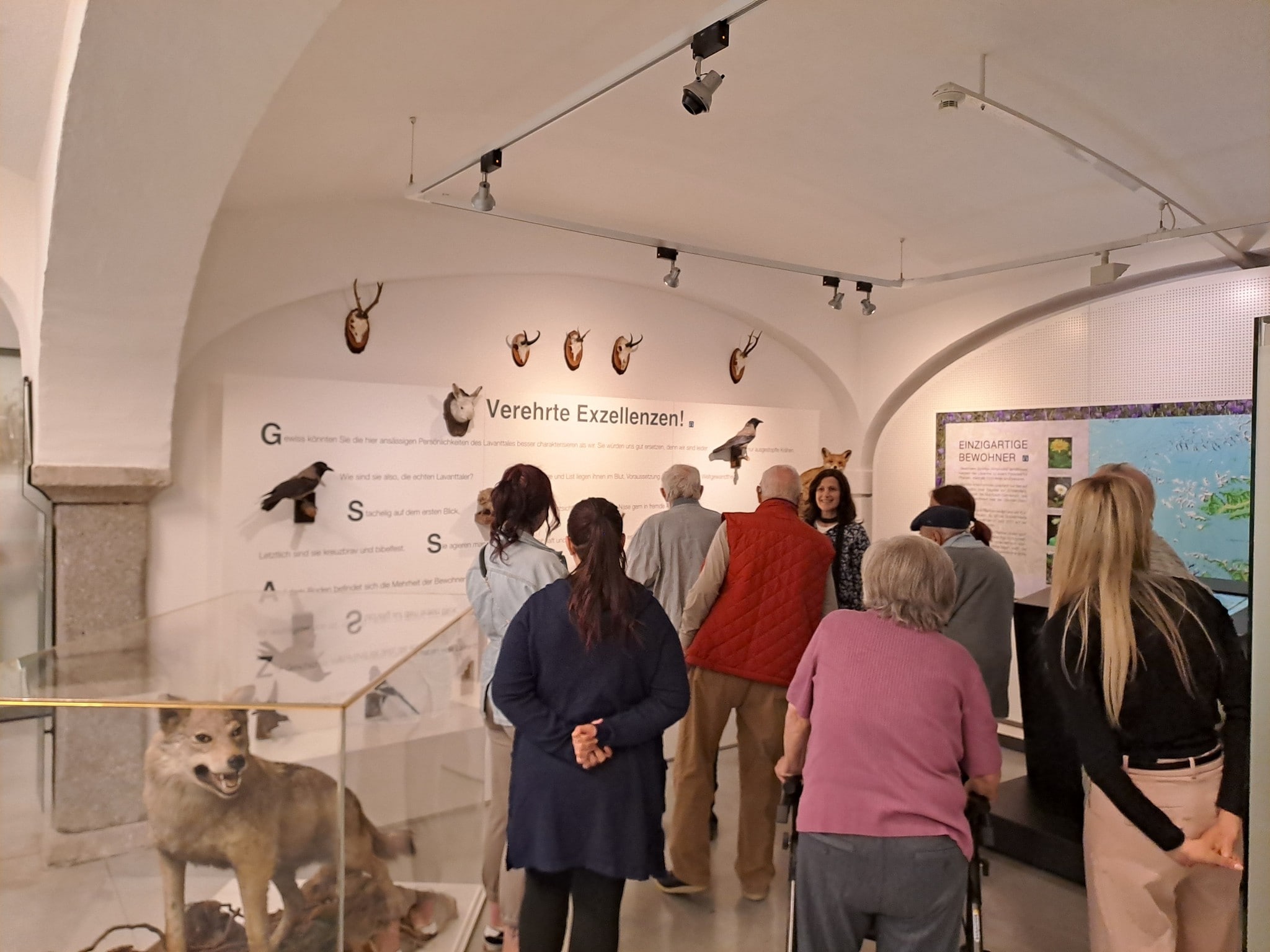 Ein Eichelhäher – ja, a Tschui: Im Museum lösen Exponate Erinnerungen aus.