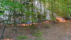 Laut Polizei standen 4000 Quadratmeter Wald in Flammen