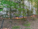 Laut Polizei standen 4000 Quadratmeter Wald in Flammen