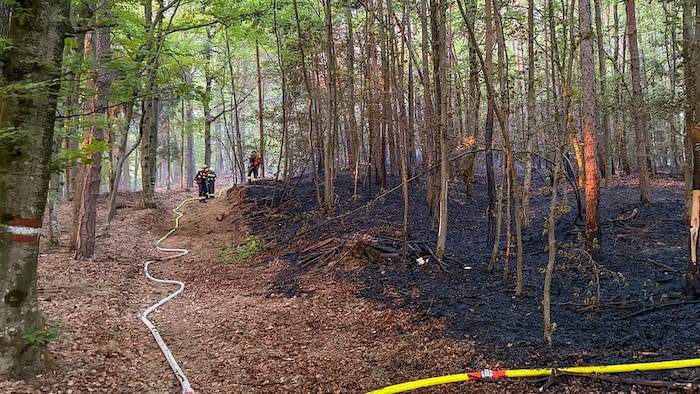 Mehr als 100 Florianis standen im Einsatz