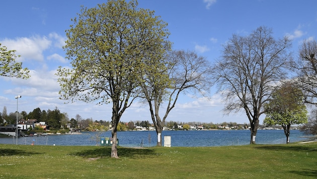 Einsatz am Neufelder See: Nach stundenlanger Suche wurde der vermisste Taucher tot geborgen. ...