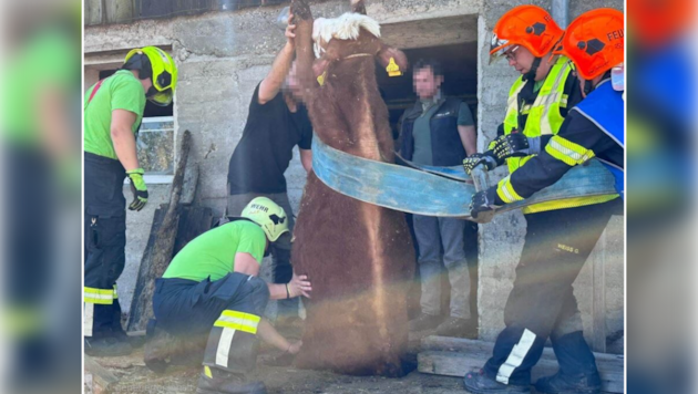 Nach rund 45 Minuten konnte das Tier unverletzt geborgen werden.