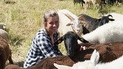 Verena Kirchmayr fährt vom Mostviertel täglich auf die Donauinsel, um nach den Schafen zu sehen.