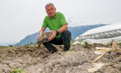 Viele verschiedene Gemüsesorten baut Hans Winklhofer in Wals an. Schon jetzt muss er mit dem ...