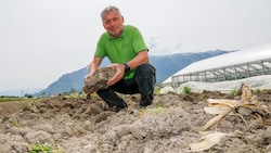 Viele verschiedene Gemüsesorten baut Hans Winklhofer in Wals an. Schon jetzt muss er mit dem ...