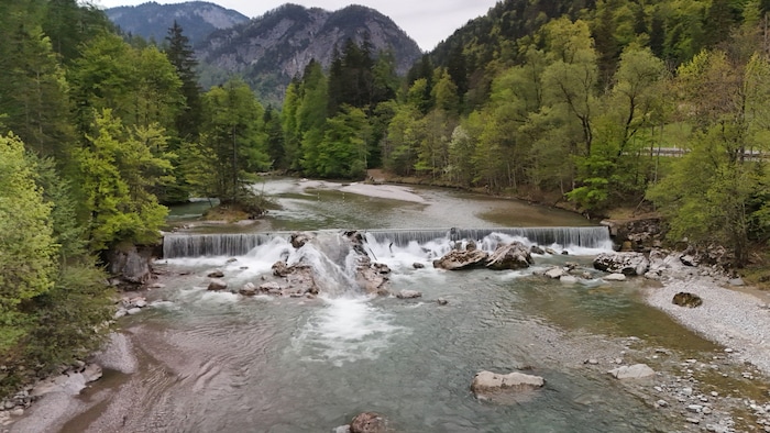 Die anhaltende Hitze lässt die Pegelstände in den heimischen Gewässern sinken. Nur wenig Wasser ...